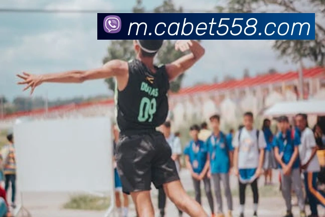 ca亚洲城APP 封面图